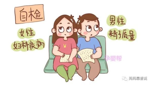 染色体|胎儿停止发育？是染色体出了问题