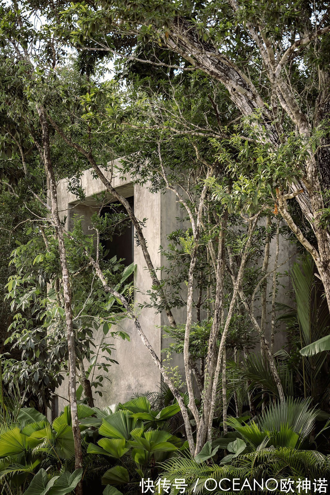 极简主义|欧神诺小课堂:墨西哥图卢姆的极简主义手工制作之家,艺术与生活