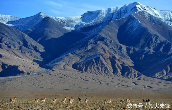 老年|中国4大无人区，飞禽不敢穿越夏季最高70℃，涨知识了