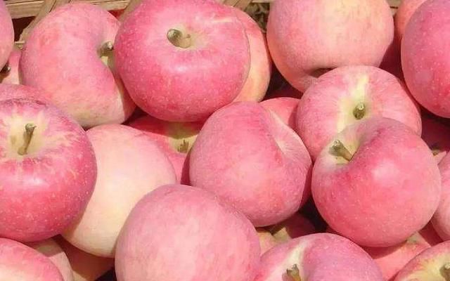 果脐|买苹果，不是越红越好，谨记这4个窍门，苹果清甜响脆又好吃！