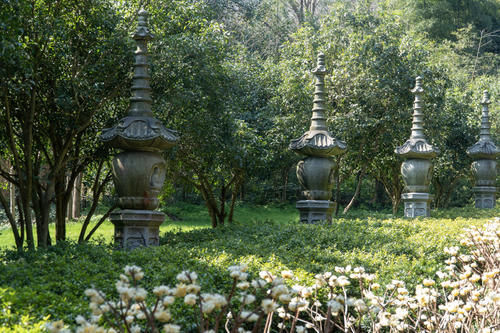 中年|在杭州灵隐寺隔壁，还有个免门票的永福寺，少有人知却值得一去