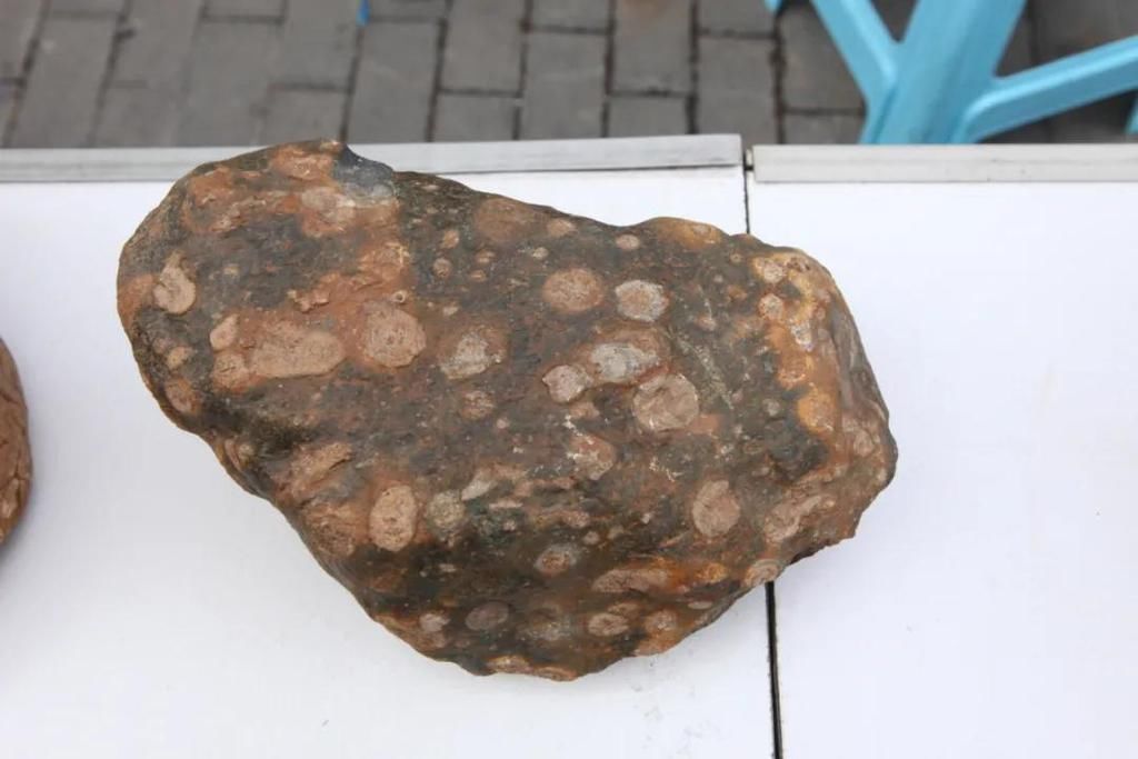  陨石|“群星”在故都闪耀——第四届临淄齐国商城陨石展