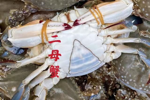 腹部|买螃蟹，是不是“顶盖肥”就看这“1处”，老渔夫的方法就是实用