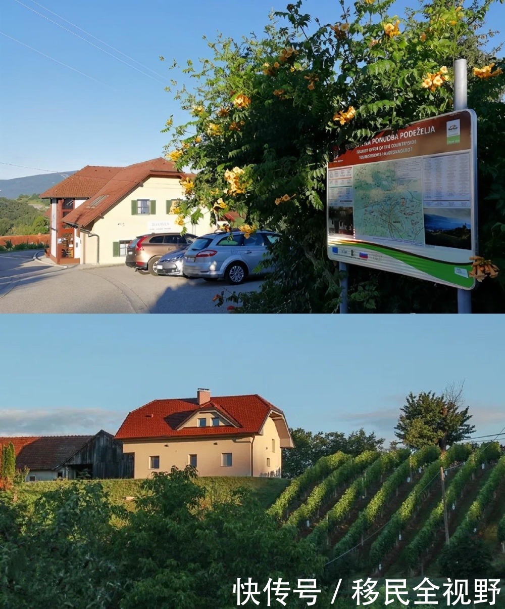 葡萄酒|斯洛文尼亚,葡萄酒乡的微醺时光