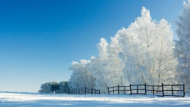 水粼粼$《唐多令》18首:又近一年终，平头白发翁。好年华、逝去匆匆