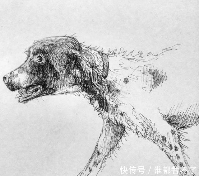 针管$全球最抠女画家，用一支2元针管笔惊艳世界，连英国皇室都惊叹