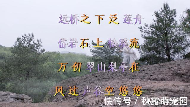 郭女侠$张三丰为何一生未娶?金庸:武当七侠的名字串起来,你就理解了