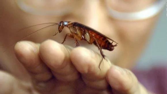 知识|24个冷知识：生物老师看完直呼不可思议，但却真实存在的有趣知识