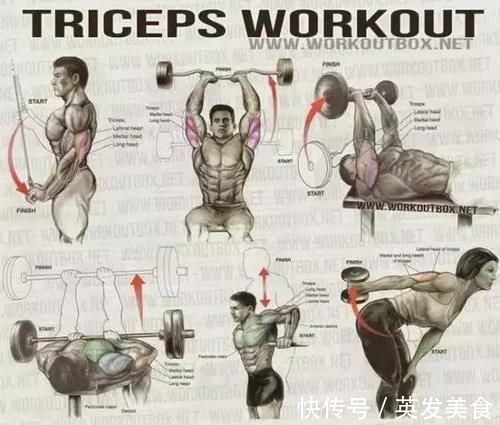 训练|健身房常用训练图解,每张图都是训练计划!