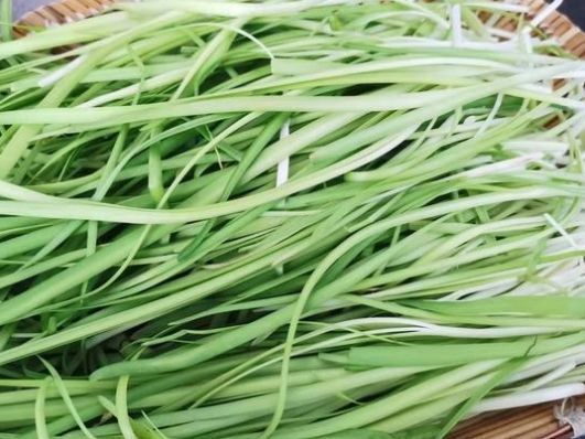 纯素馅饺子好吃有诀窍,调馅时加点它,又鲜又香,比肉饺子受欢迎