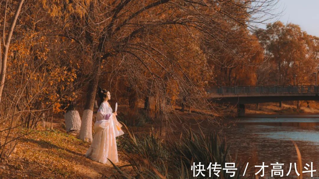 白居易$有一种诗词,叫“想你了”