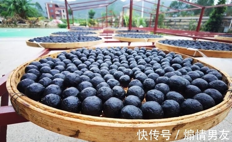 石狗@到南安!到九溪!到那“石狗蛋”的山中世界!