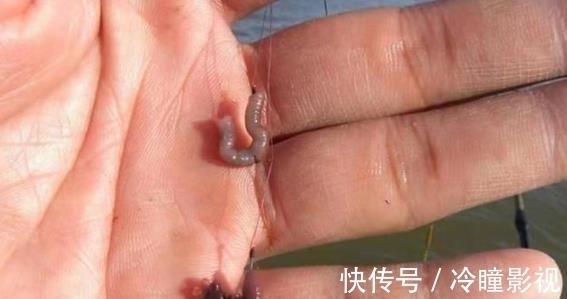 一遇走水就没法钓啦？按我说的方法钓，别人没口你连竿