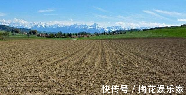 土地|农村2000年以后出生的小孩只有户口,没有承包地,以后怎么养老