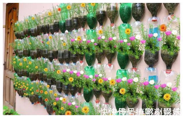 太阳花|别人不要的饮料瓶,被他改成五颜六色花盆,过程引近450万人围观