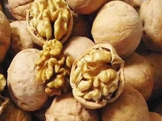 新的一年|腊八马上就要到了,孩子多吃3种鸿运果,寓意福乐绵绵