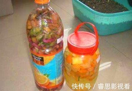 养花还买花肥?家里的此几样“垃圾”扔盆里,植物叶油绿、开花艳