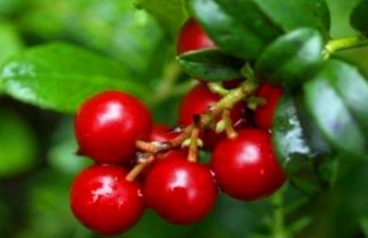 美容养颜|超市很常见的3种食物，美容养颜、延缓衰老，好处多多！