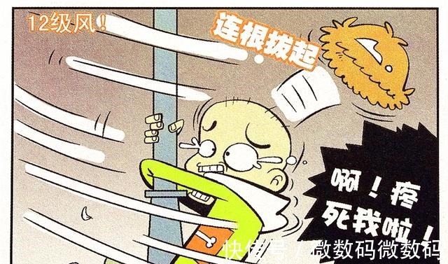 重要性 衰衰强力发胶硬顶大风,变成光头撒腿就跑,发型的重要性!