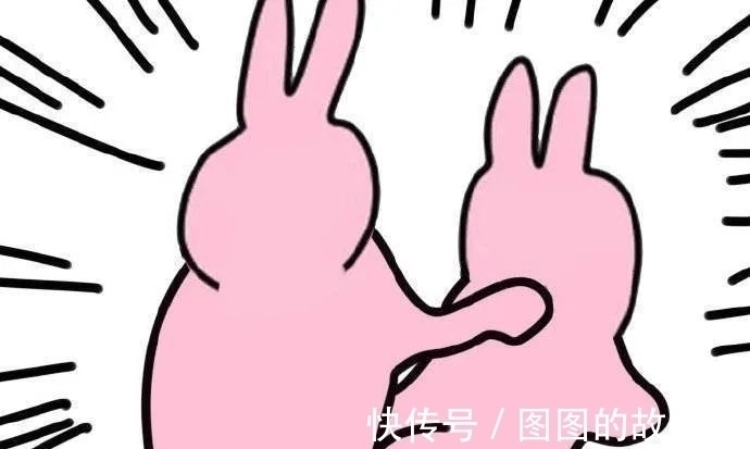 任务管理器|为什么最近很多人在给两只魔性的粉色兔子P图?