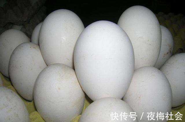 毒素|怀孕了记得常吃这5种食物,宝宝出生后“颜值高”,宝妈别错过!