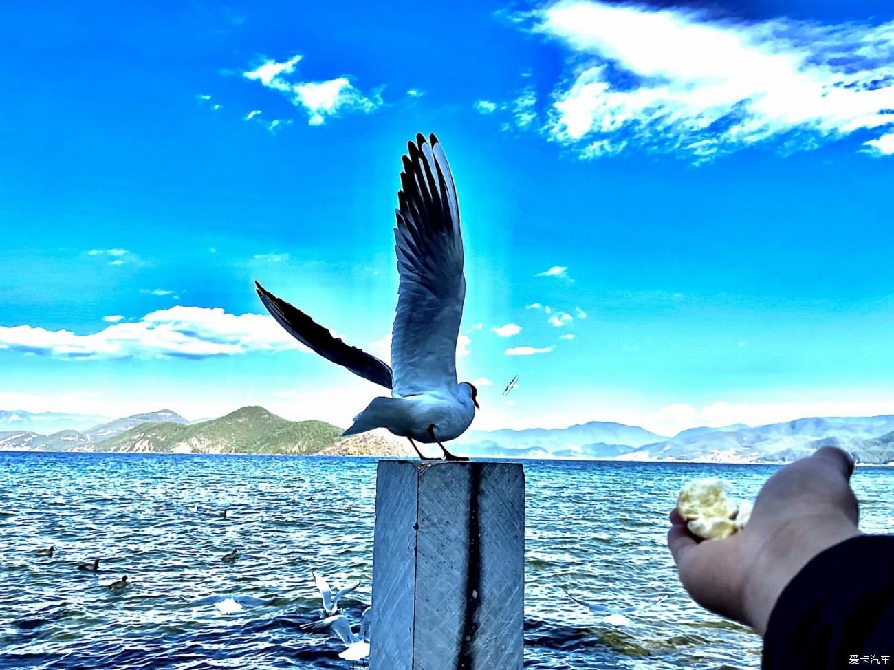 泸沽湖风景名胜区