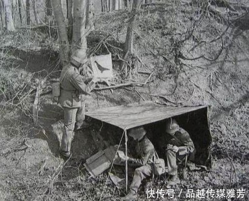 血淋淋|抗战时,战场上发现这一种动物一定要击毙,这是血淋淋教训换来的