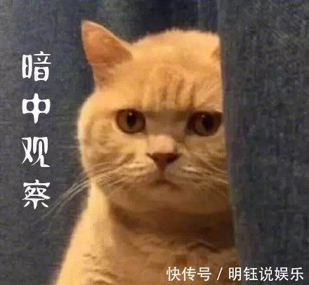 宝宝|宝宝午睡竟没哭闹,宝妈放心不下偷偷观察,开门一看笑岔气