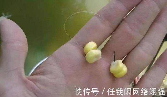 没有鱼口就不要死守，用这几个招数，找到鱼口并不算难