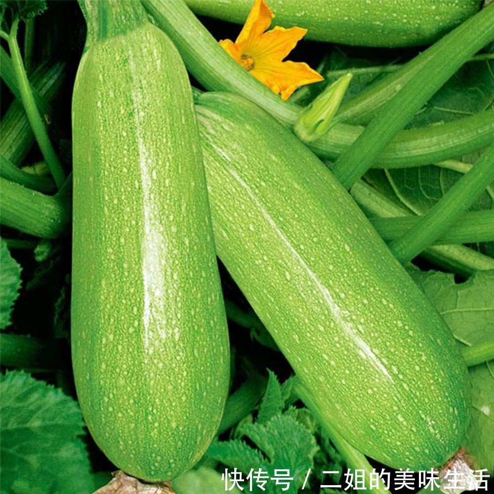 冬瓜|无论有钱没钱,顺应时节,多吃这几种瓜,顺利度过盛夏