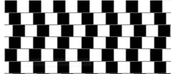 头脑|最新老年痴呆测试:图中大象一共有多少条腿?答对的人头脑很聪明