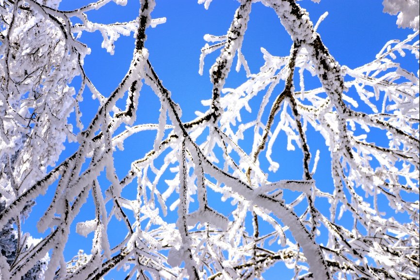 看雪|光雾山：“整个朋友圈都去看雪了，你还不来吗？”