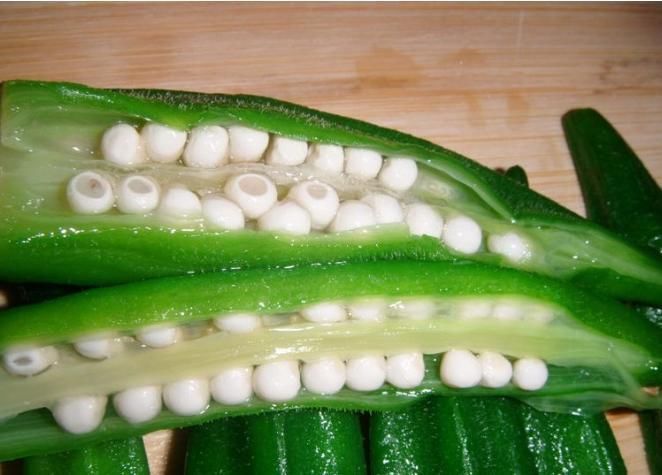 城里人|比韭菜还厉害的“补肾草”，农村人见了不稀奇，城里人加钱都要买