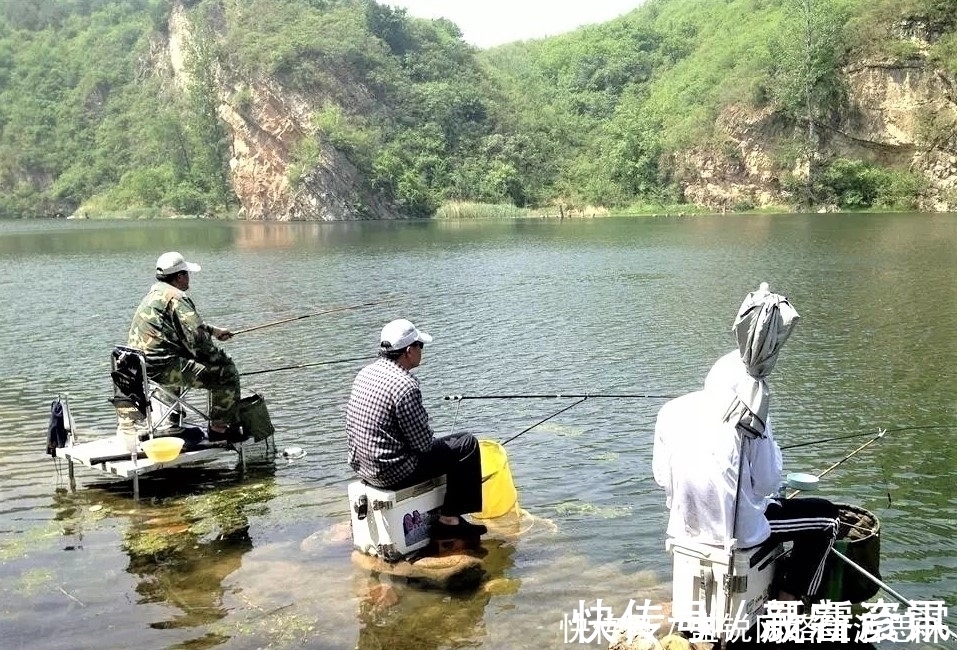 夏季野钓，突然无鱼口，不是钓技不好，原来是这几种因素