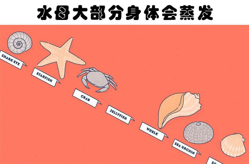  冷知识插图：许多学霸也没有真正听说过的7个冷知识