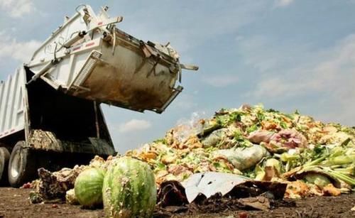 空姐1对1服务,可满足你的任何要求,不过机票价格高达15万