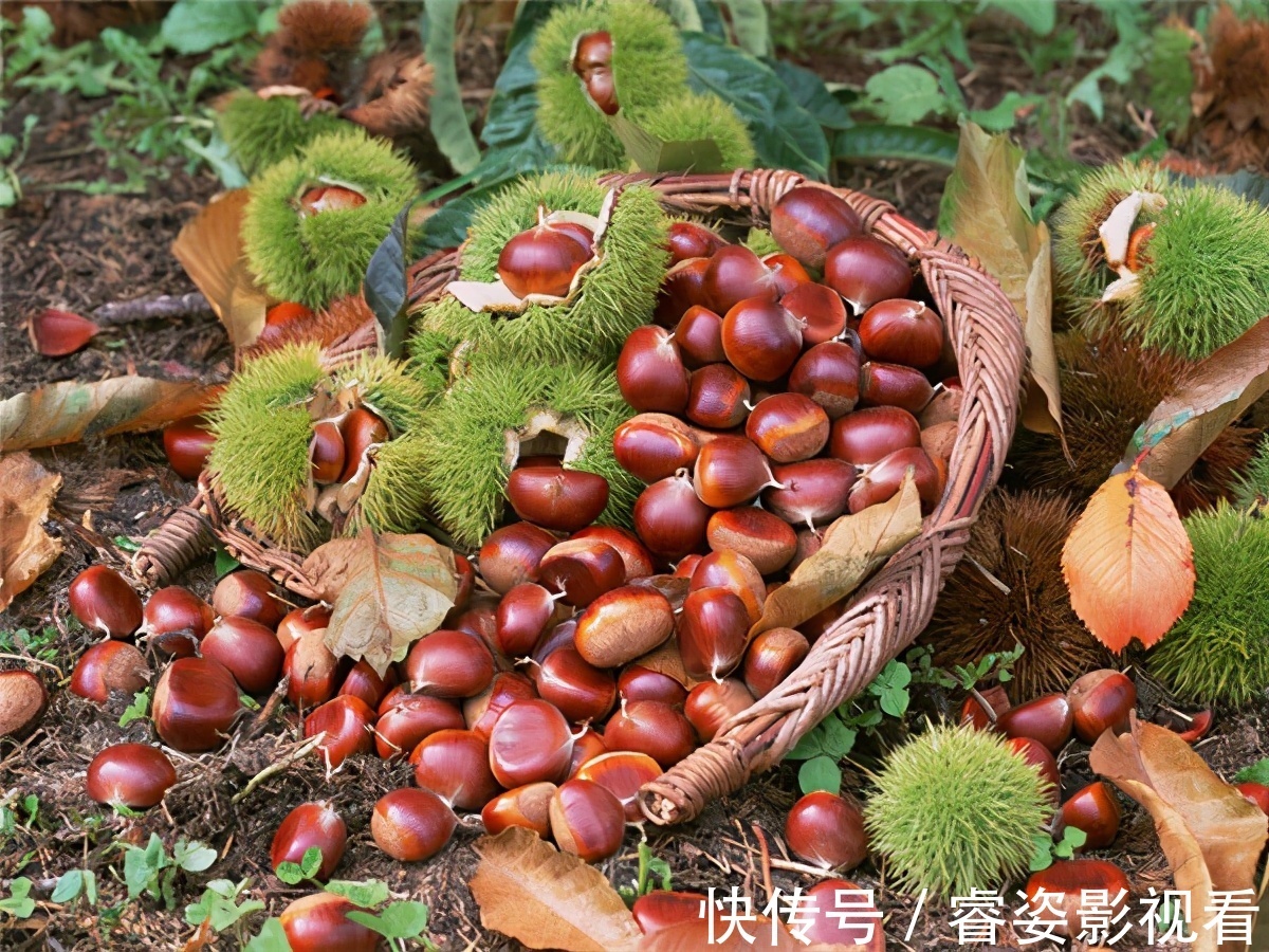 雄激素|几种“锌食物”男人不妨多吃，激活你的“雄激素”