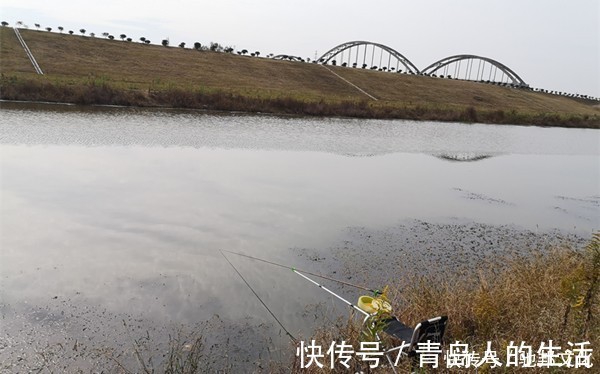 寒潮|钓鱼人“喜迎”寒潮降温天,遇上降温天,鲫鱼应该这样钓!