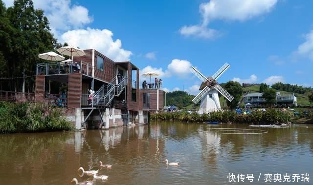 青青草原|泰顺的青青草原，很童话