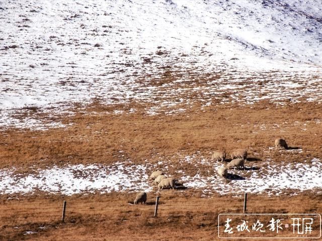 会泽草山：一个能尽情赏雪、玩雪的地方