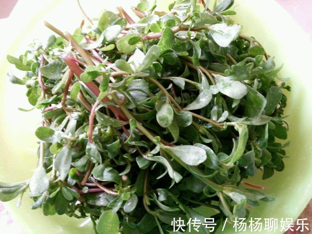 卵巢|女人常吃此物,保养卵巢,子宫越来越健康,远离妇科炎症