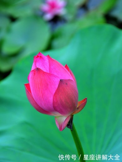 财运亨通|9月上旬,4属相财运亨通,有横财有大奖,过上富裕生活