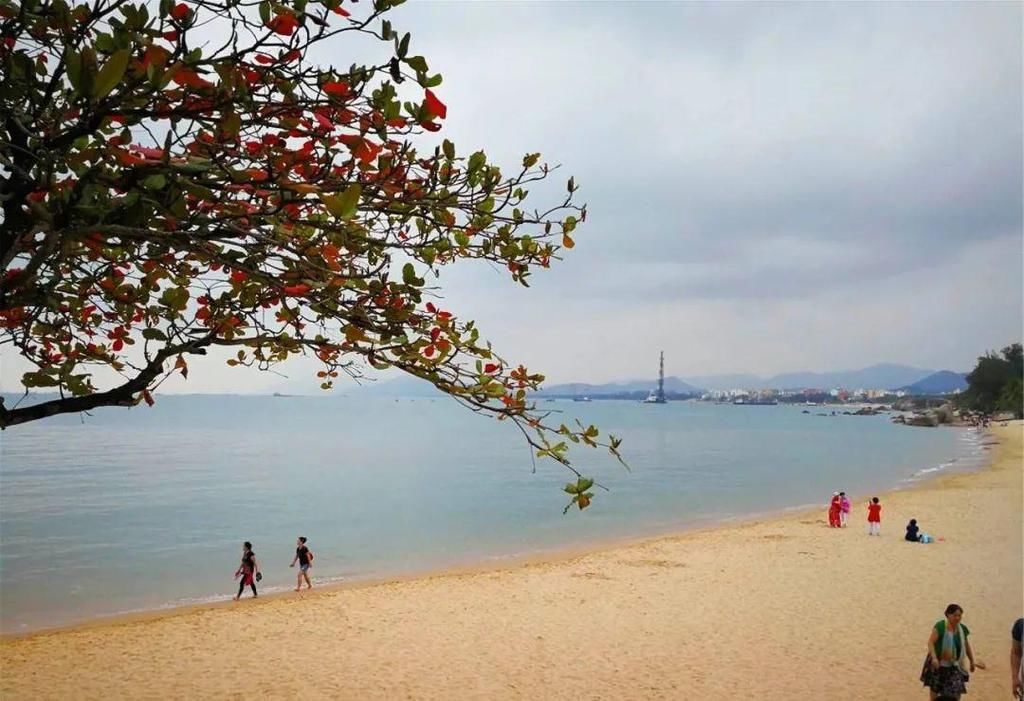 海滨风光，椰风海韵，陪您温暖过冬，首选旅游之地