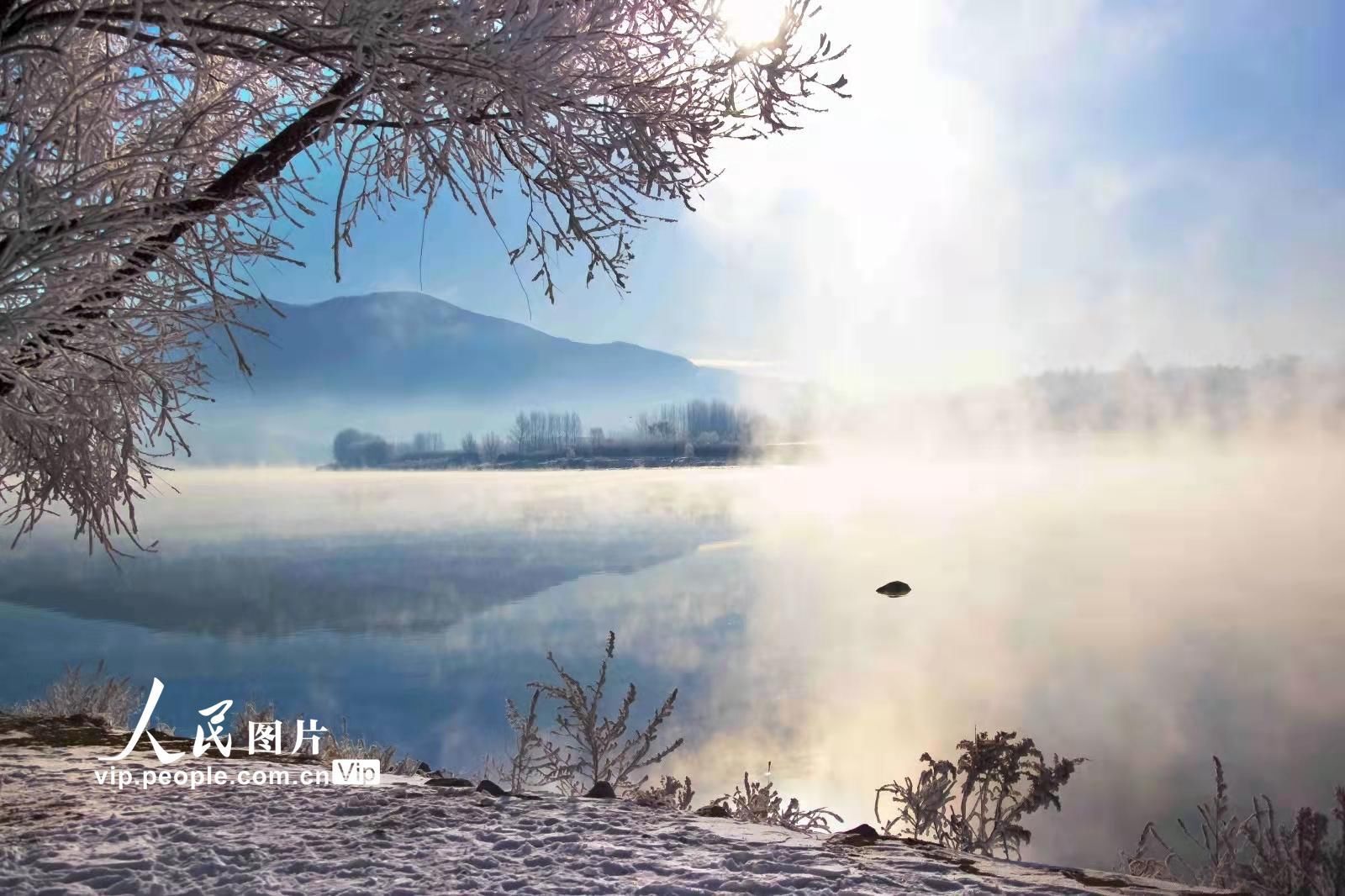 雾凇|松花江岸现雾凇美景