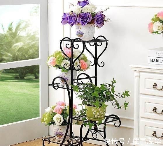 邻居家|去邻居家串门, 一去阳台我就傻了, 这些“花架”太上档次了