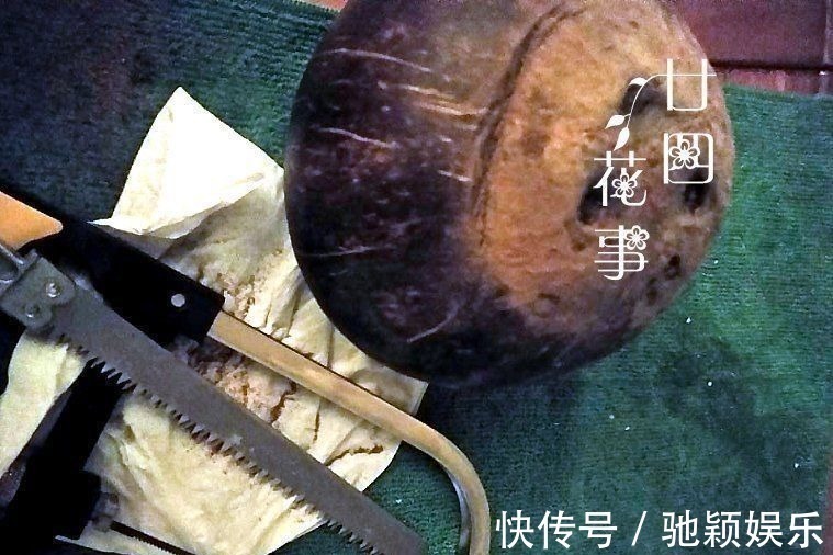 角磨机|7种“废料”做花盆,不花一分钱,花盆用不完,比买的还精致