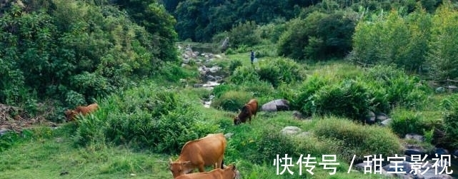 停车地|泉州不过夜露营合辑，放归山野，活在风景里