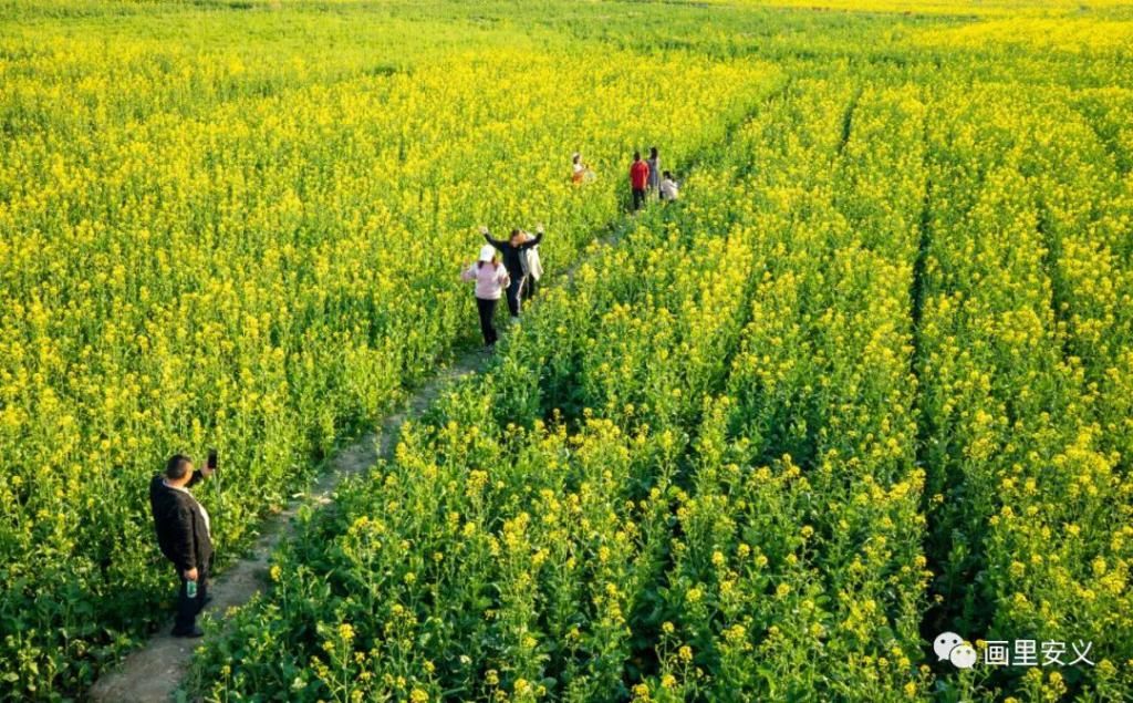 精华|太美了！近处风景！花样南昌……