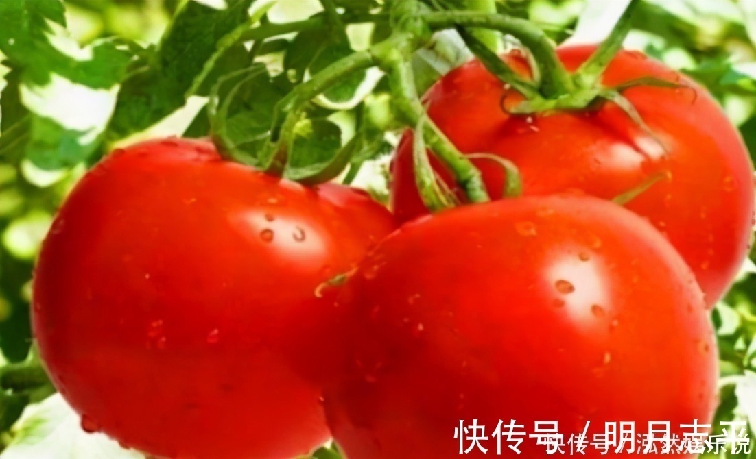 食物|多吃以下3种食物,补充营养预防疾病,排毒养颜身体棒