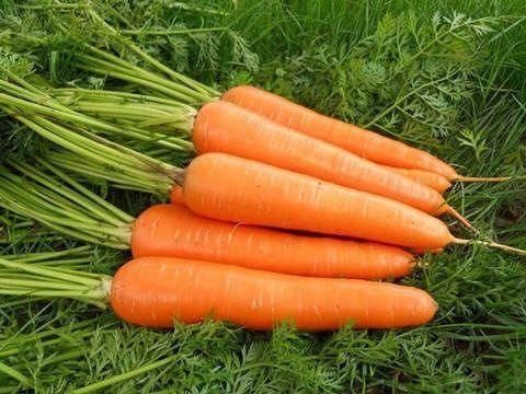 皱纹|女性养生,要坚持吃3种食物,淡化皱纹,延缓肌肤衰老